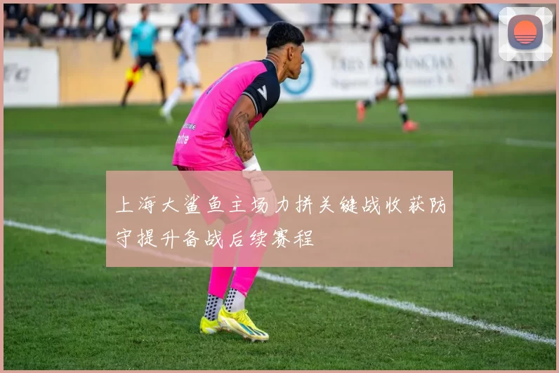 上海大鲨鱼主场力拼关键战收获防守提升备战后续赛程