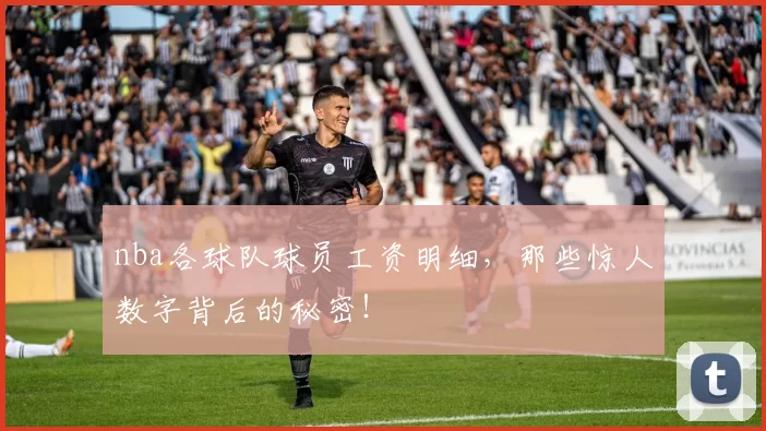 nba各球队球员工资明细,那些惊人数字背后的秘密!
