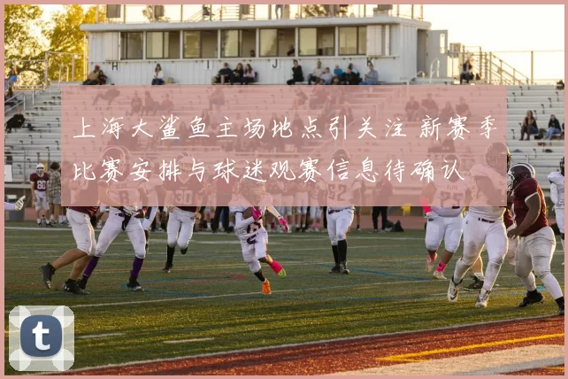 上海大鲨鱼主场地点引关注 新赛季比赛安排与球迷观赛信息待确认