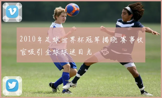 2010年足球世界杯冠军揭晓 赛事收官吸引全球球迷目光