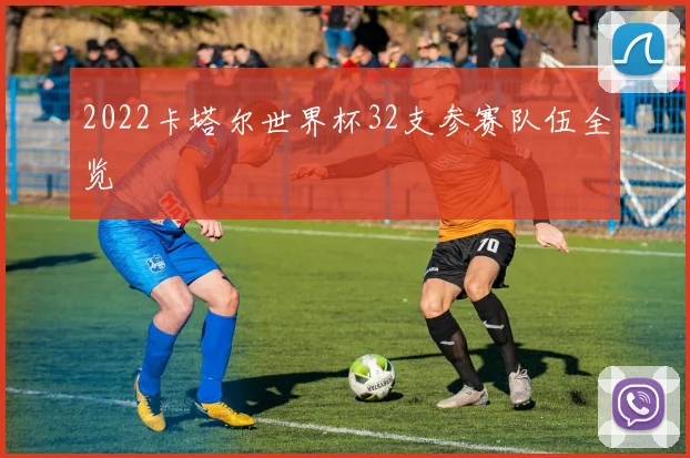 2022卡塔尔世界杯32支参赛队伍全览