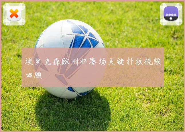 埃里克森欧洲杯赛场关键扑救视频回顾