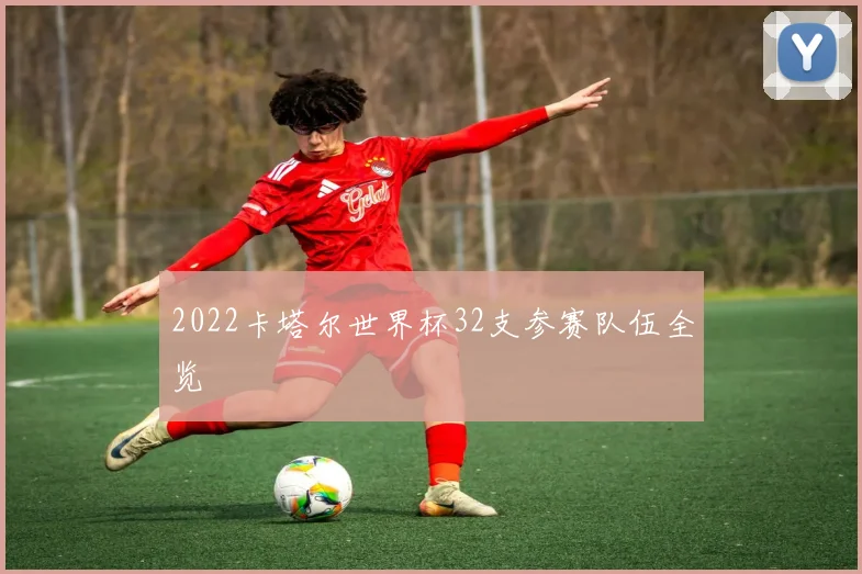 2022卡塔尔世界杯32支参赛队伍全览