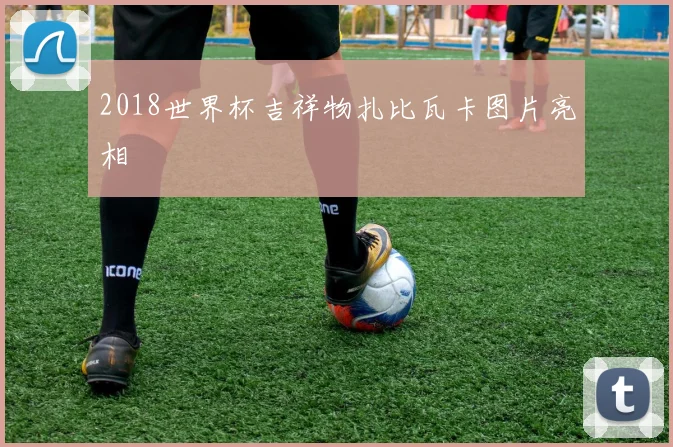 2018世界杯吉祥物扎比瓦卡图片亮相