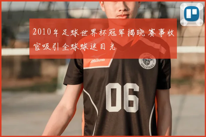 2010年足球世界杯冠军揭晓 赛事收官吸引全球球迷目光
