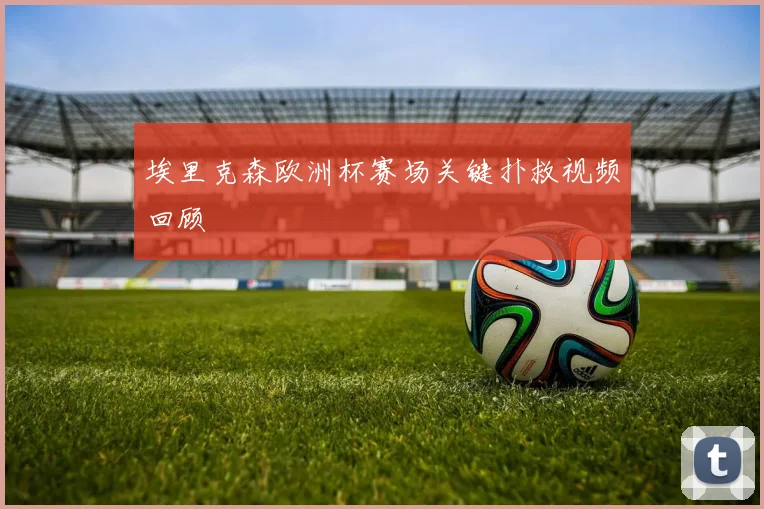 埃里克森欧洲杯赛场关键扑救视频回顾